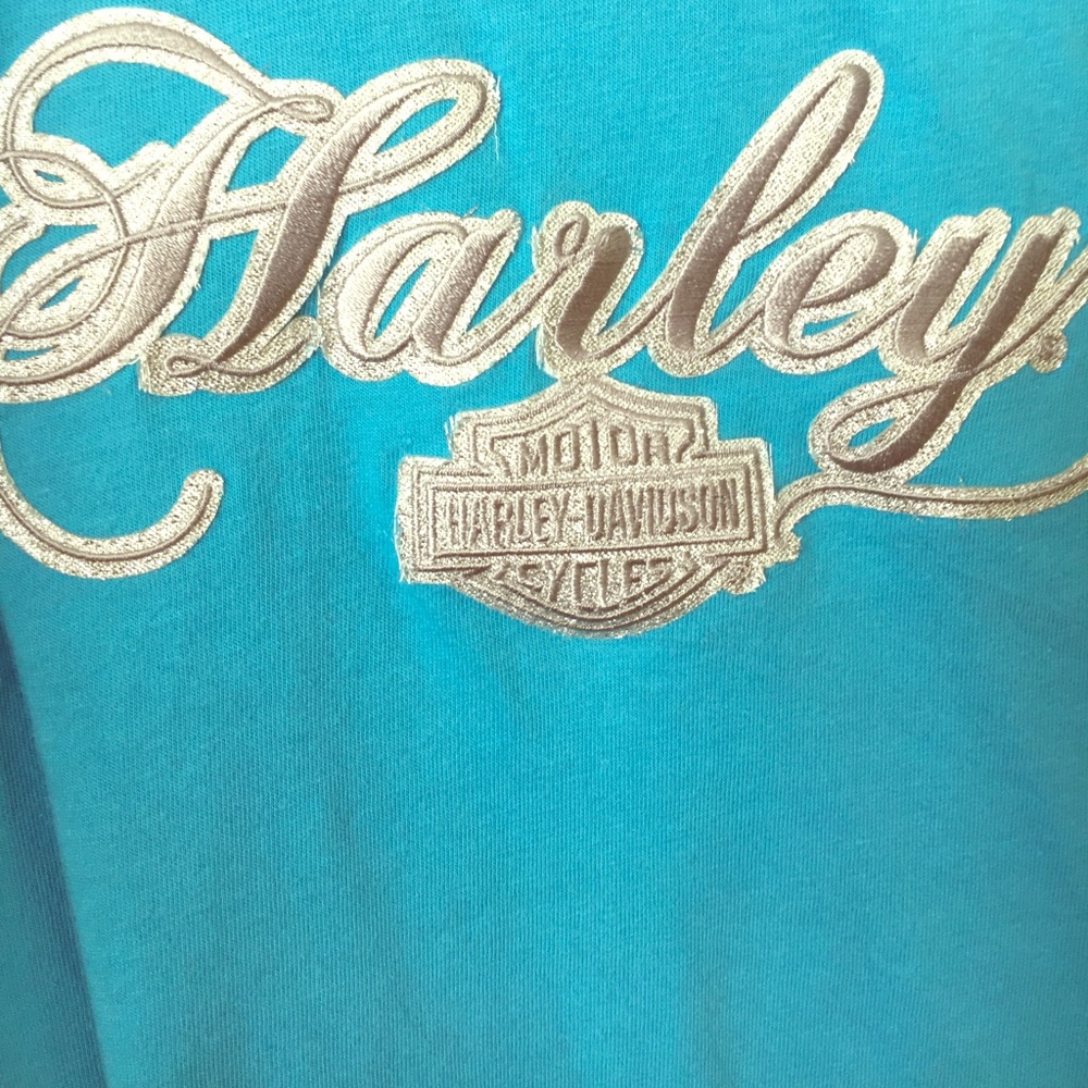 Gorgeous Rare Harley Davidson shirt